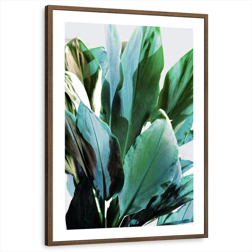 framed-print-brown-walnut-white-border