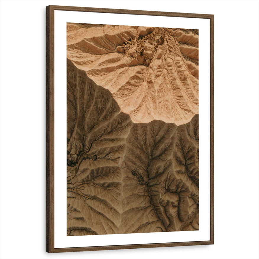 framed-print-brown-walnut-white-border