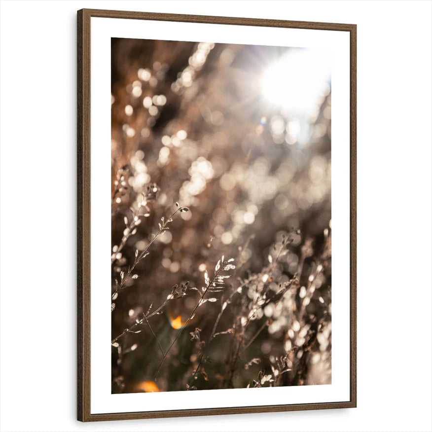 framed-print-brown-walnut-white-border