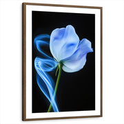framed-print-brown-walnut-white-border