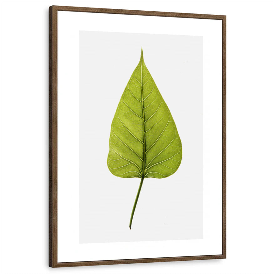 framed-print-brown-walnut-white-border