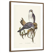 framed-print-brown-walnut-white-border