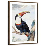 framed-print-brown-walnut-white-border