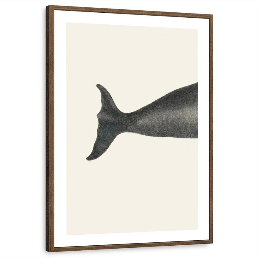 framed-print-brown-walnut-white-border