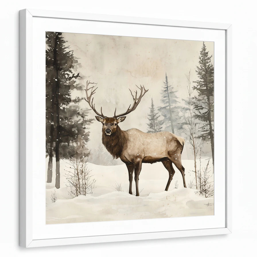 framed-print-white-matted