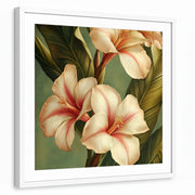 framed-print-white-matted