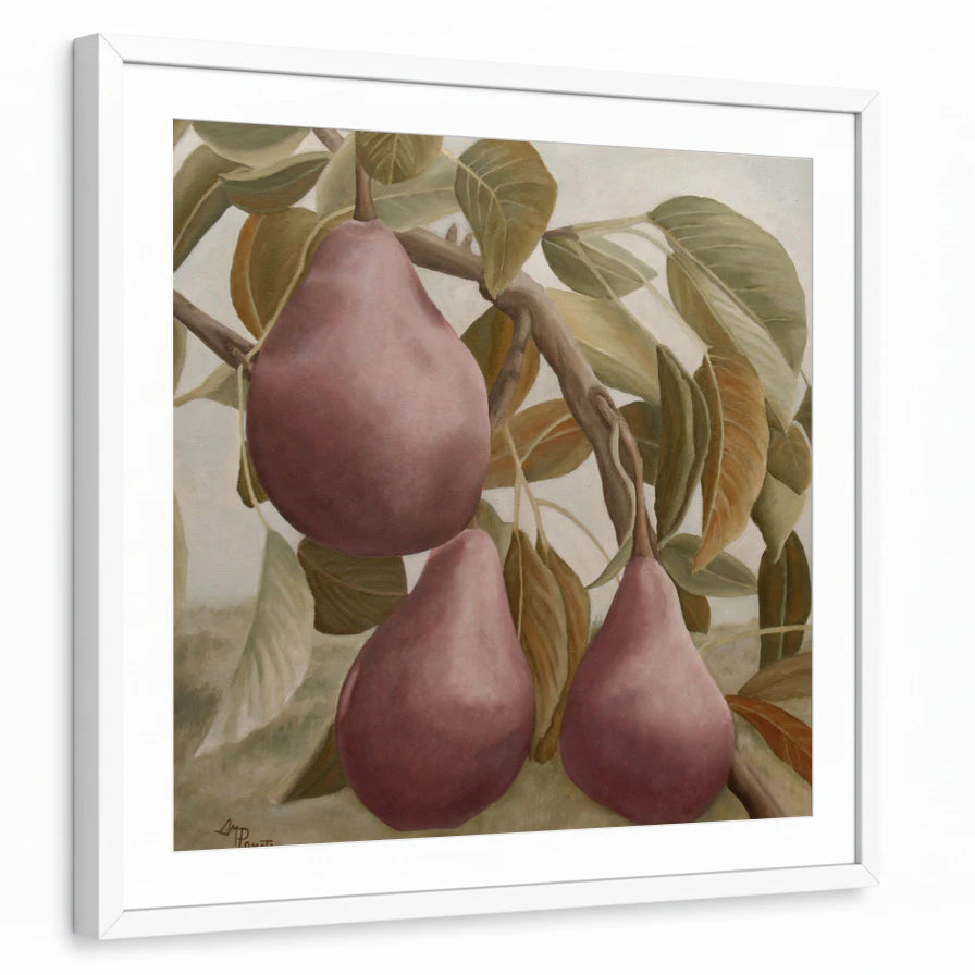 framed-print-white-matted