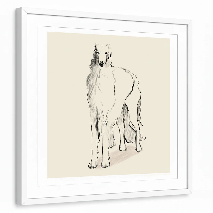 framed-print-white-matted