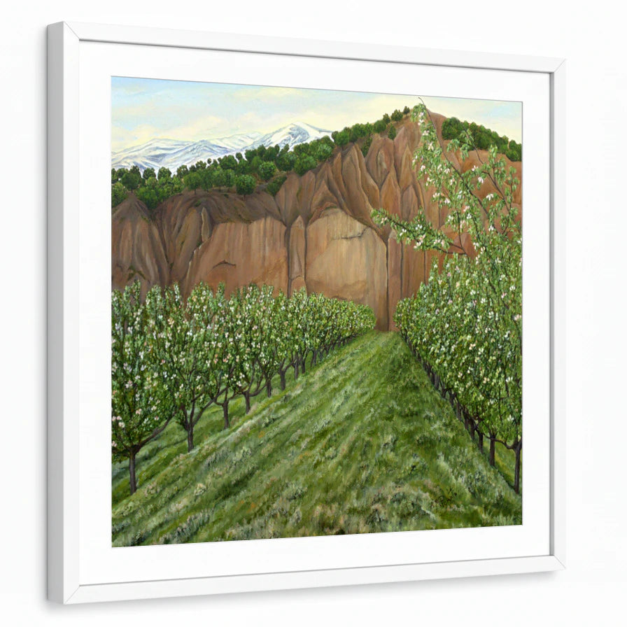 framed-print-white-matted
