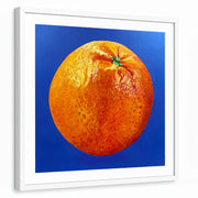 framed-print-white-matted
