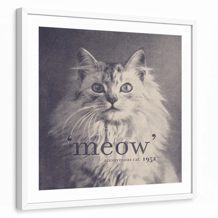 framed-print-white-matted