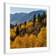framed-print-white-matted