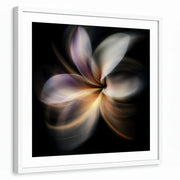 framed-print-white-matted