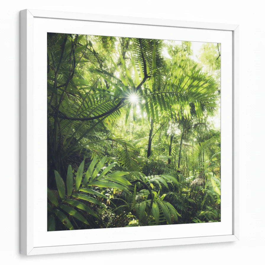 framed-print-white-matted