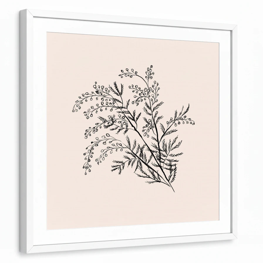 framed-print-white-matted
