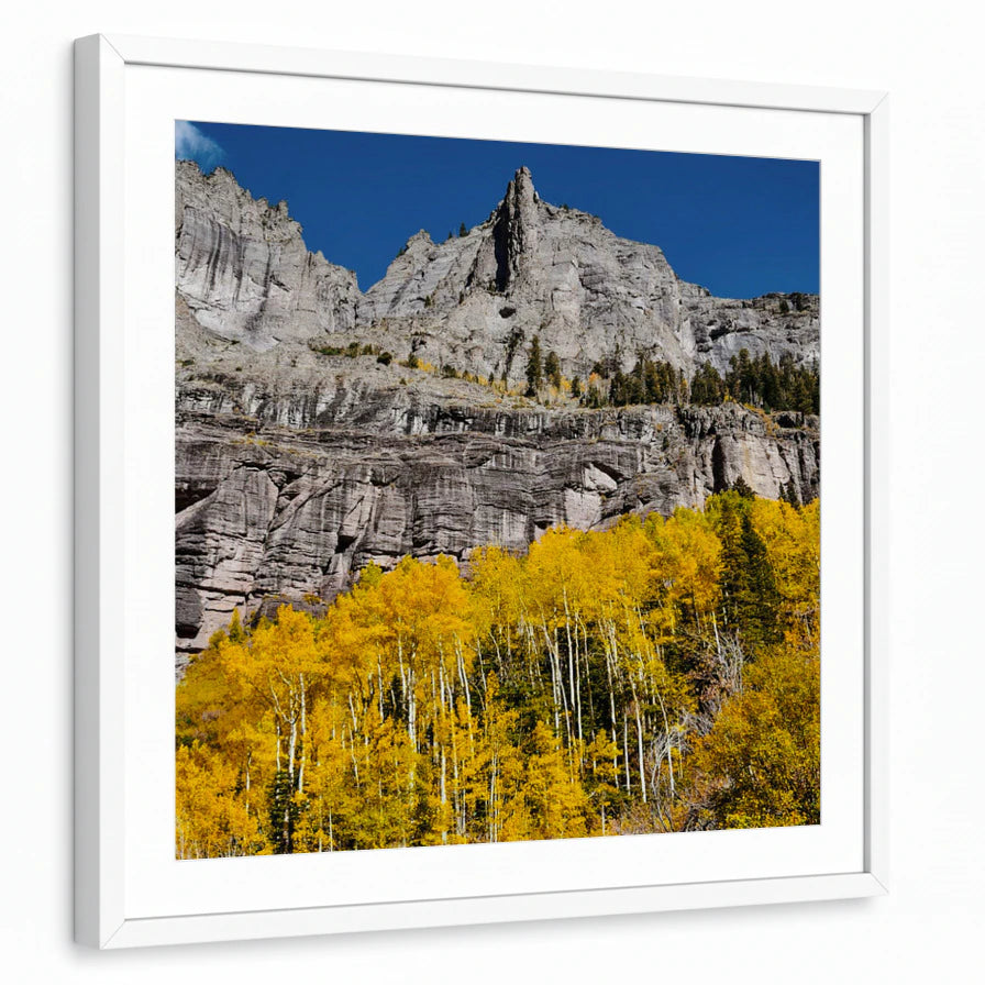 framed-print-white-matted