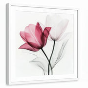 framed-print-white-matted