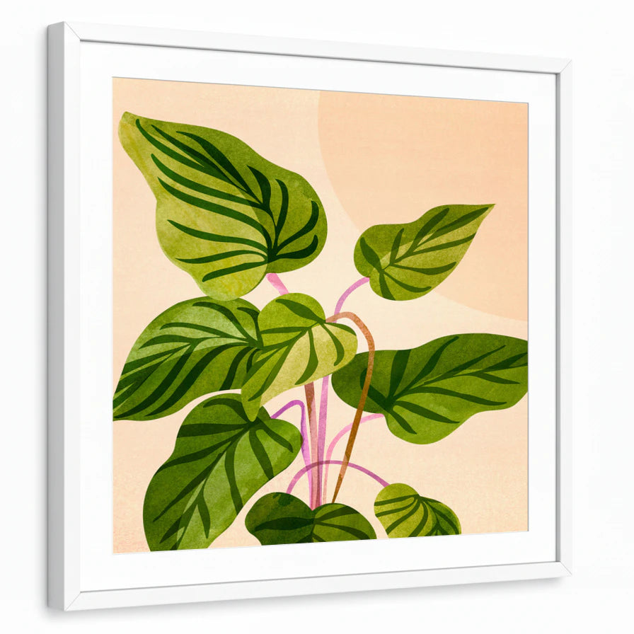 framed-print-white-matted