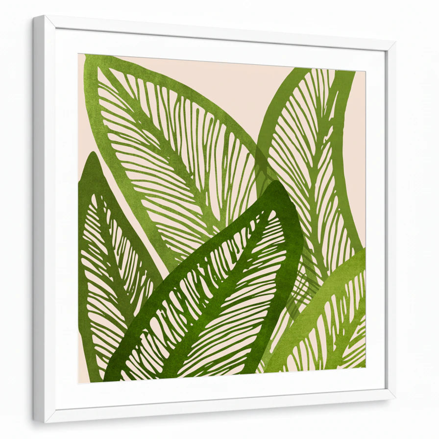framed-print-white-matted