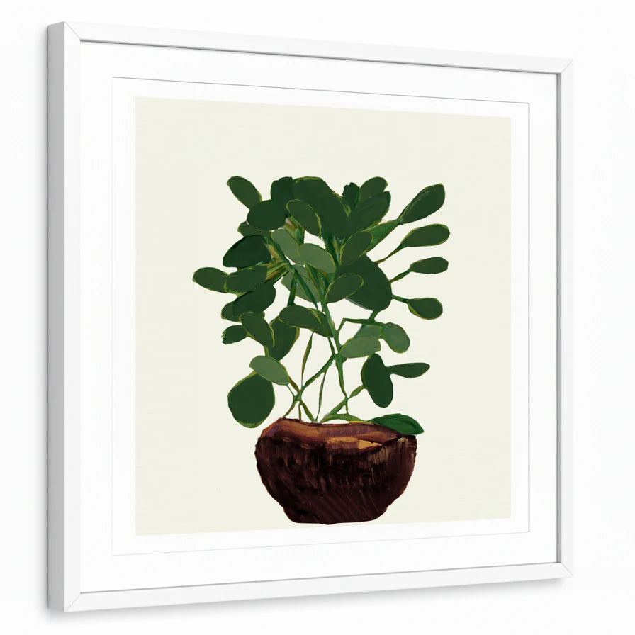 framed-print-white-matted