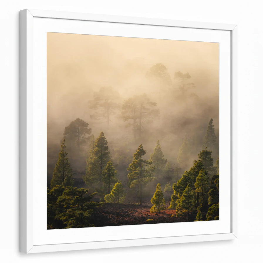 framed-print-white-matted