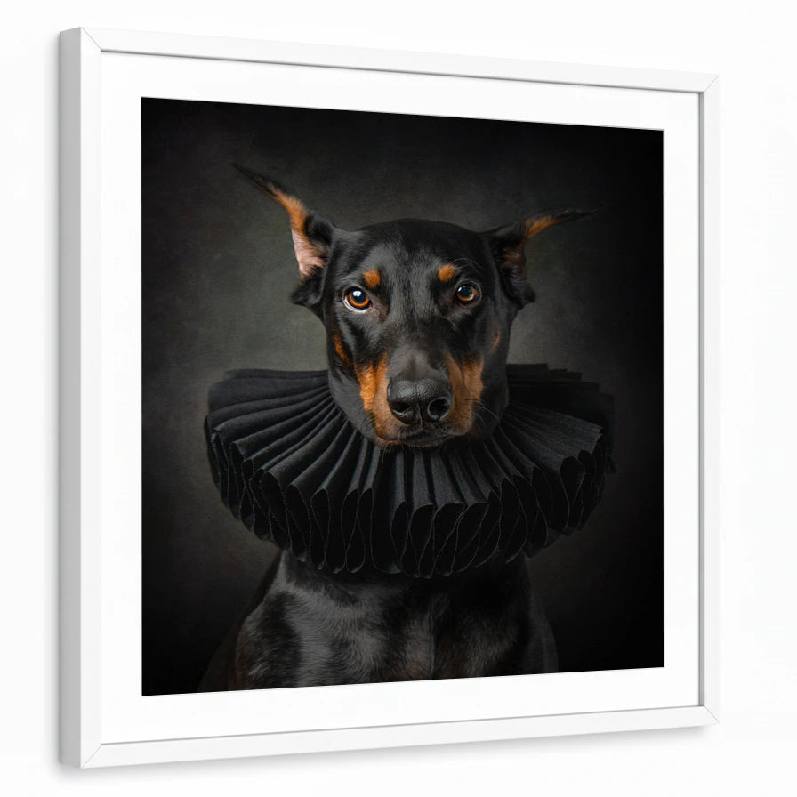 framed-print-white-matted