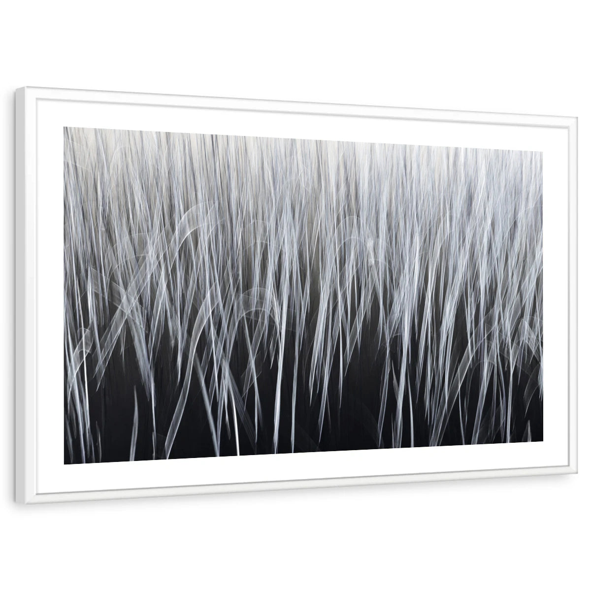 framed-print-white-white-border