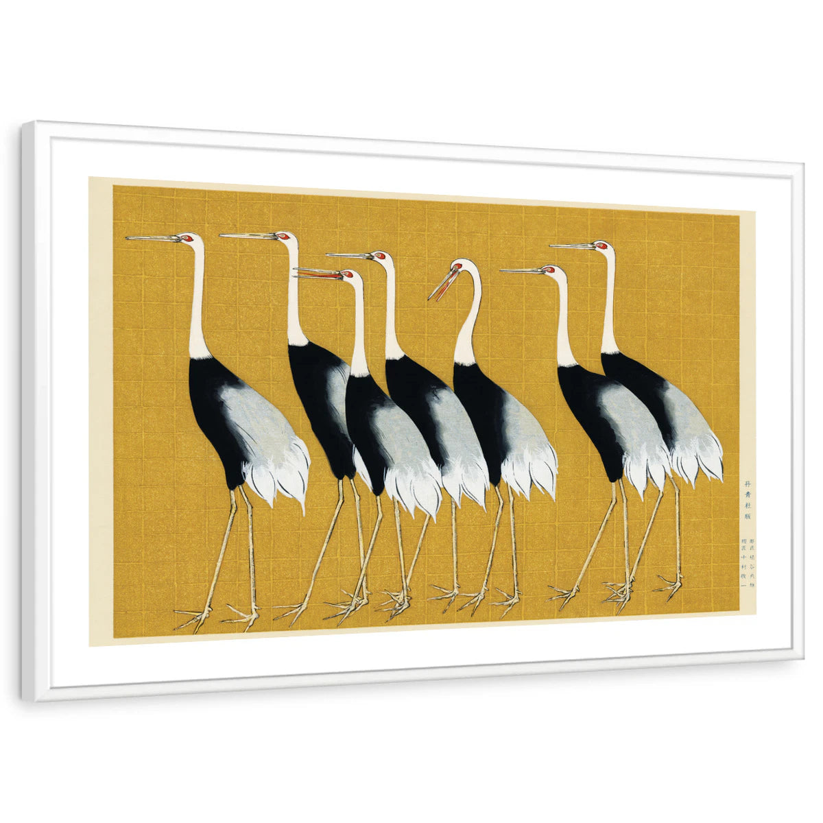 framed-print-white-white-border