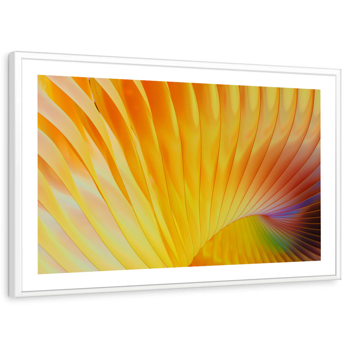 framed-print-white-white-border