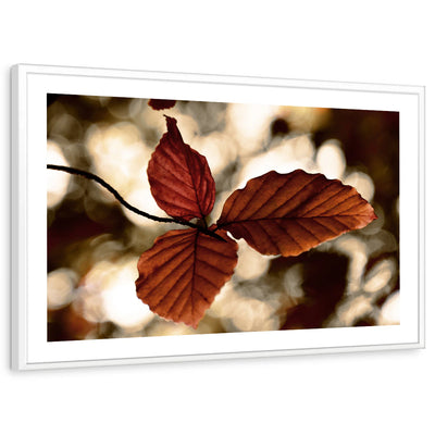 framed-print-white-white-border