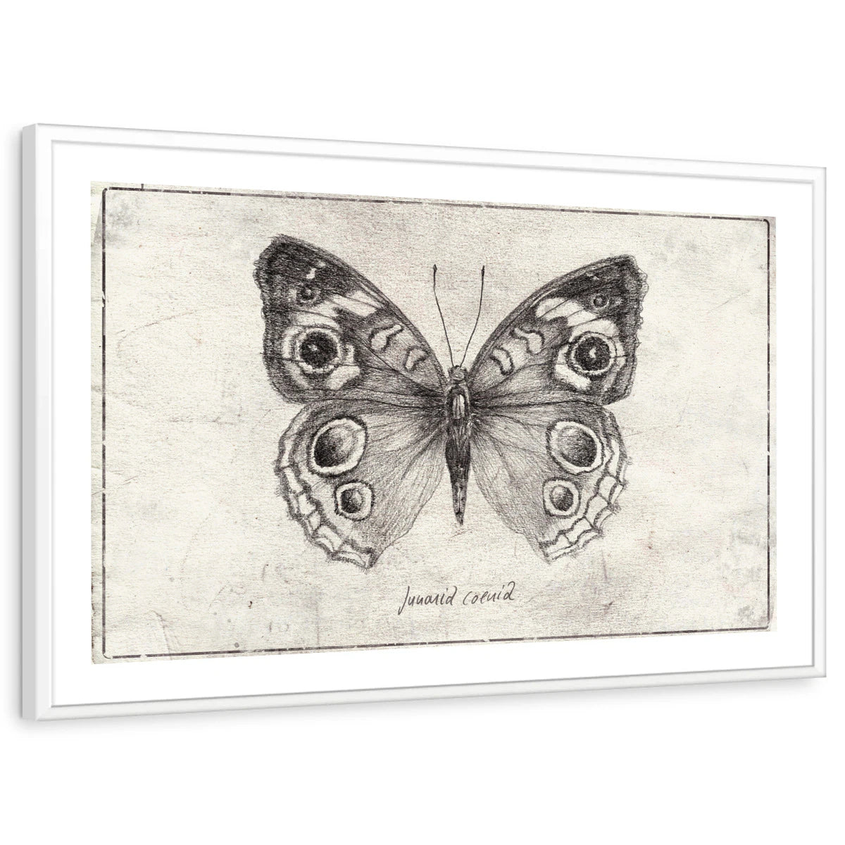 framed-print-white-white-border