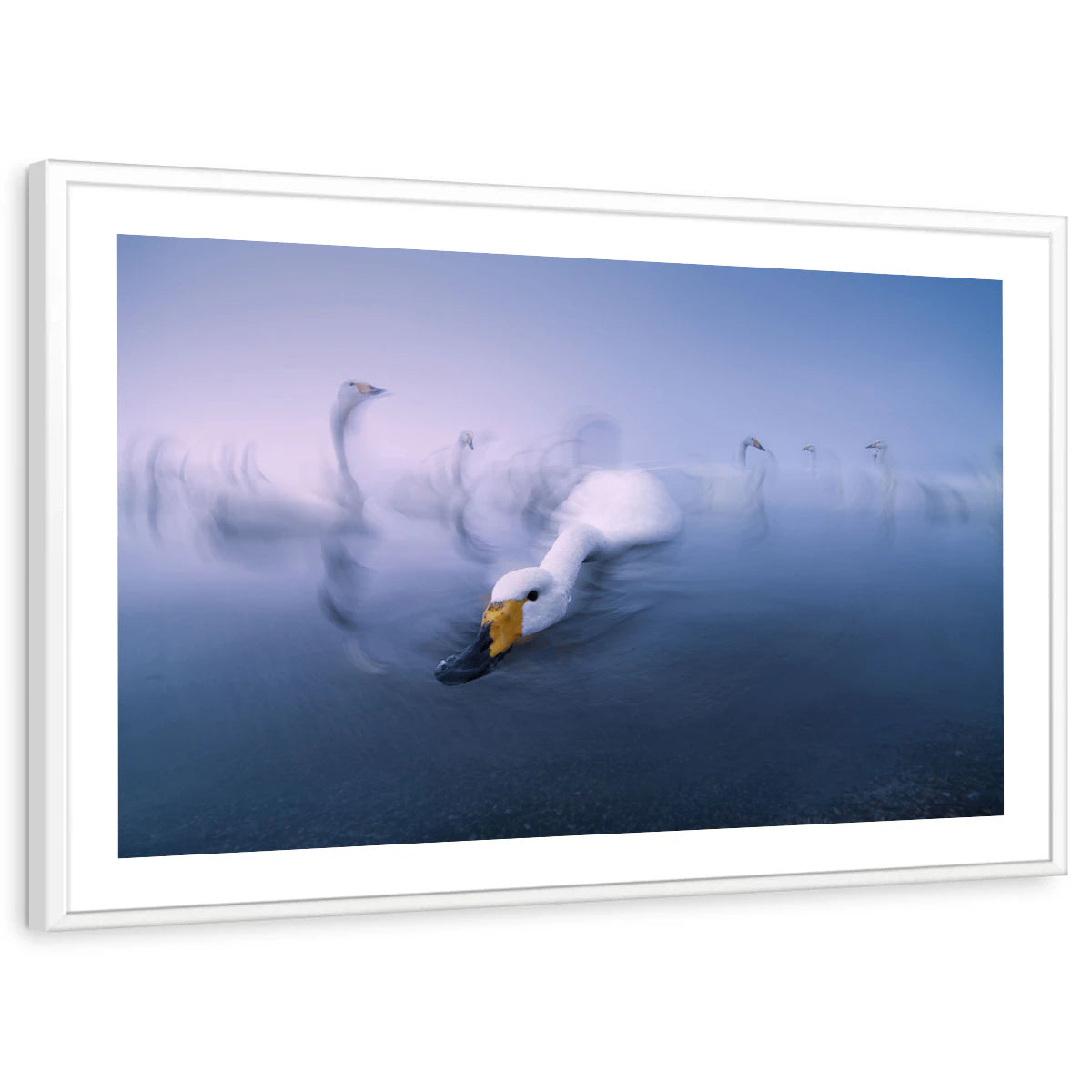 framed-print-white-white-border
