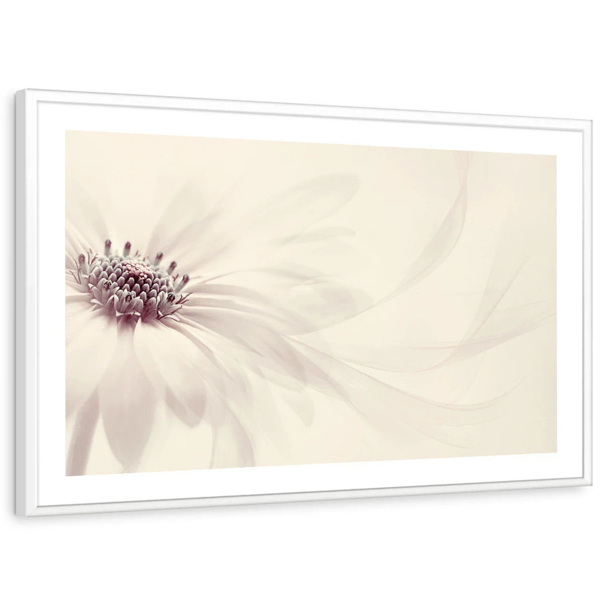 framed-print-white-white-border