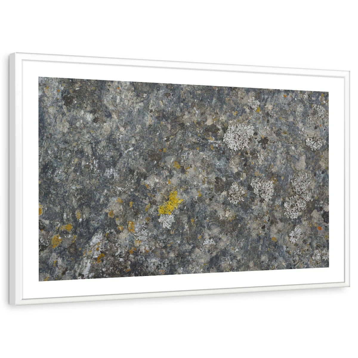 framed-print-white-white-border