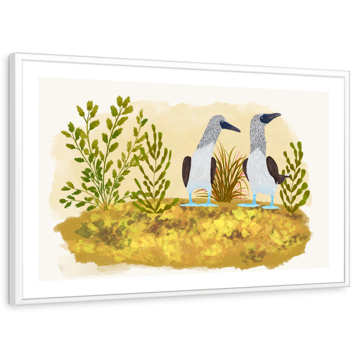 framed-print-white-white-border