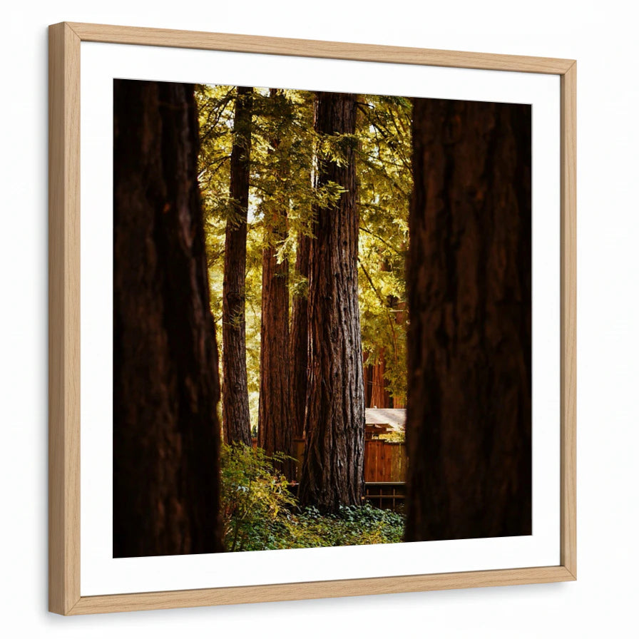 framed-print-natural-wood-matted