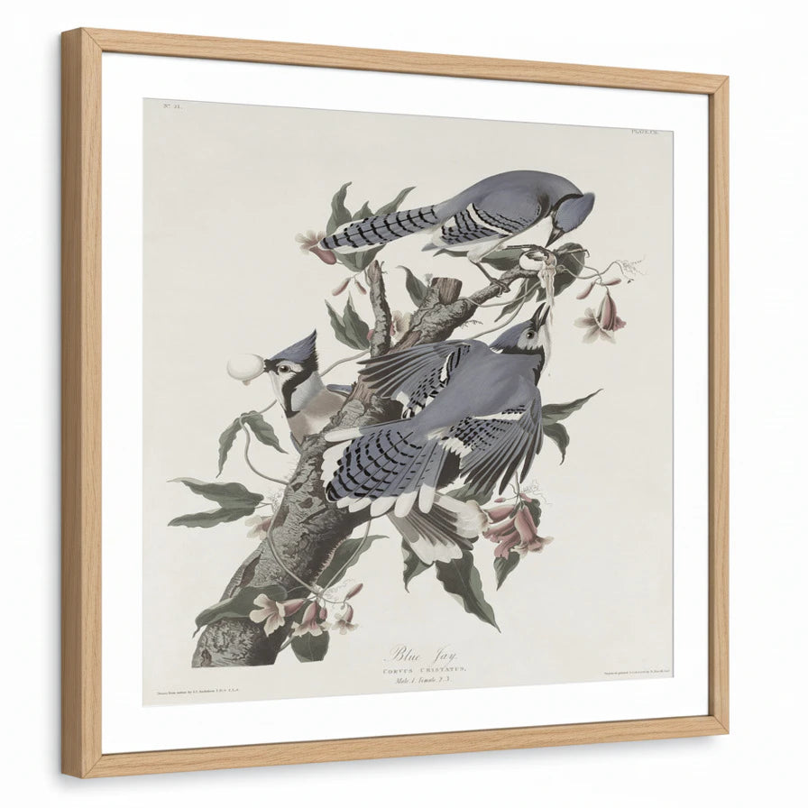 framed-print-natural-wood-matted