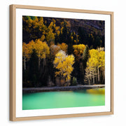 framed-print-natural-wood-matted