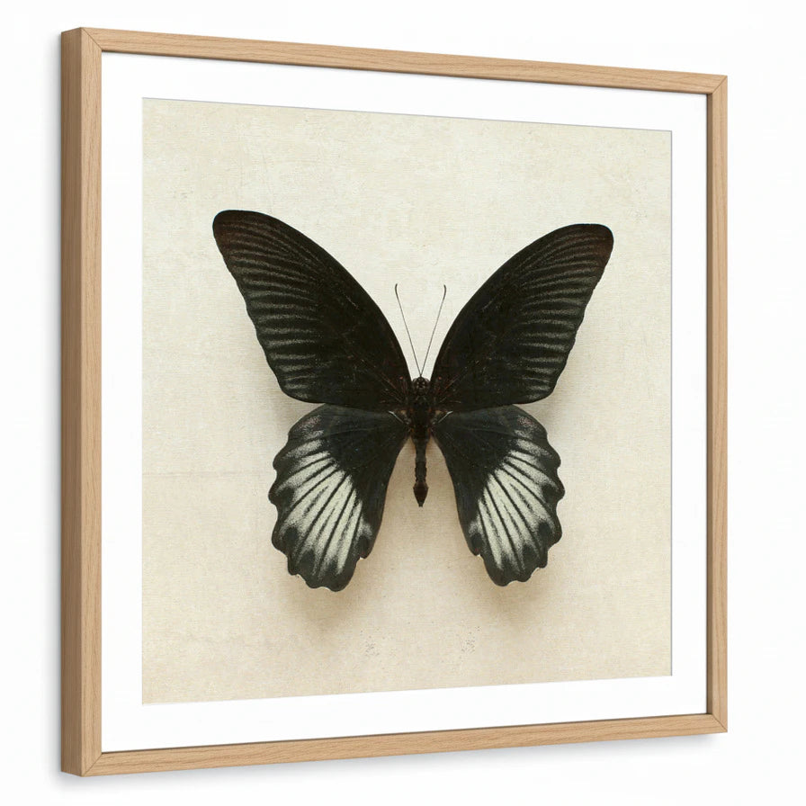 framed-print-natural-wood-matted