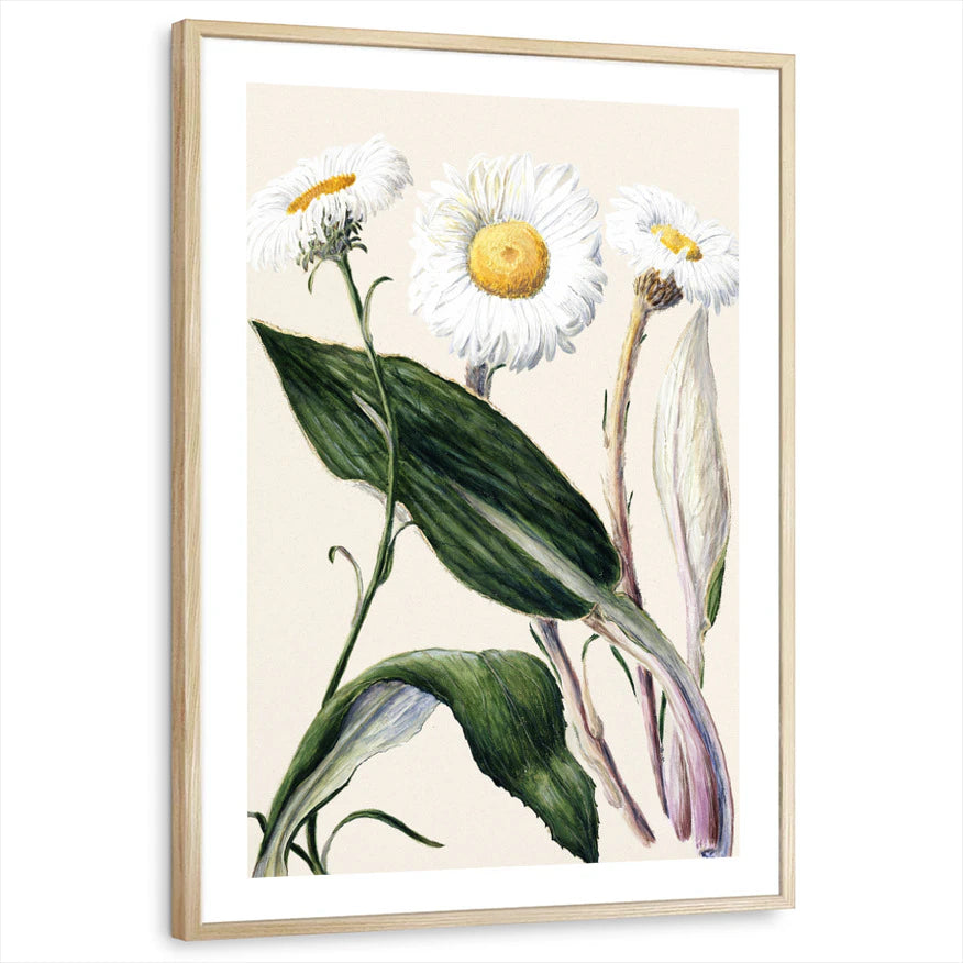 framed-print-natural-wood-white-border