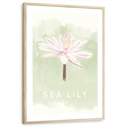 framed-print-natural-wood-white-border