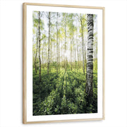 framed-print-natural-wood-white-border