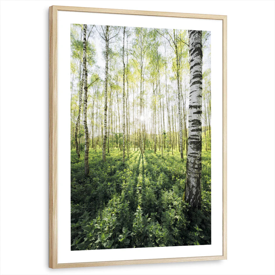 framed-print-natural-wood-white-border