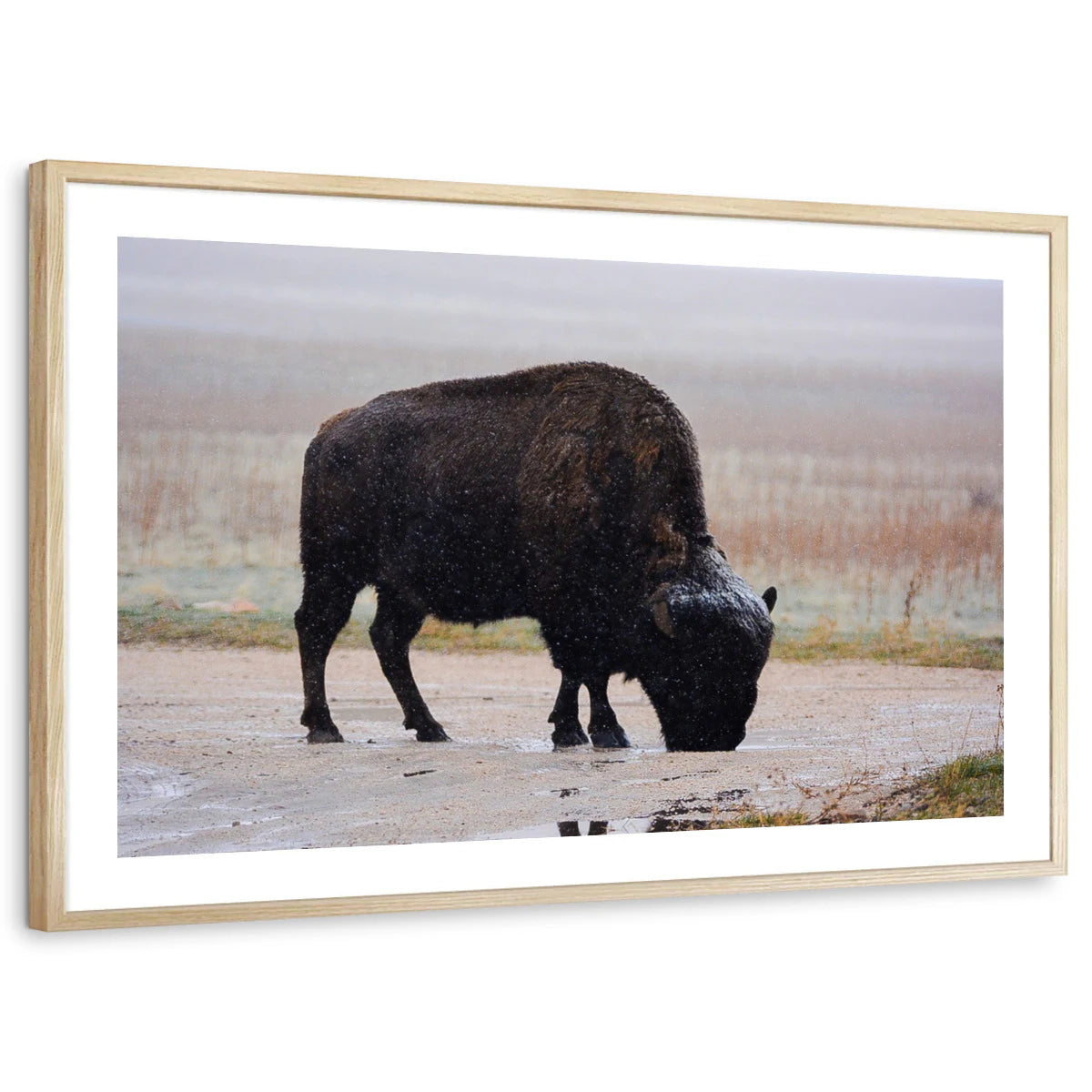 framed-print-natural-wood-white-border