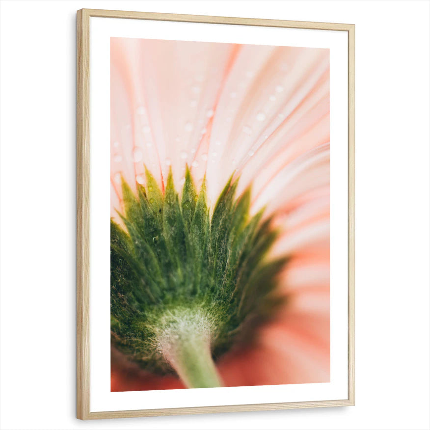 framed-print-natural-wood-white-border