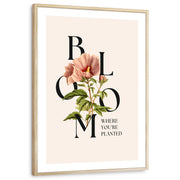 framed-print-natural-wood-white-border