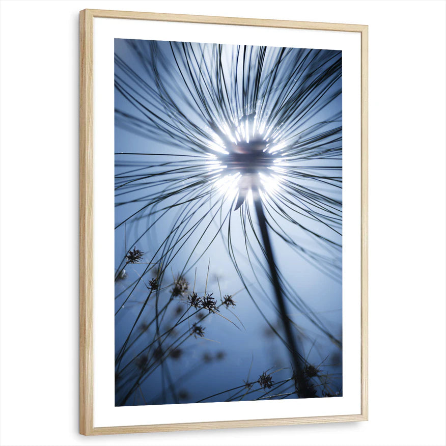 framed-print-natural-wood-white-border
