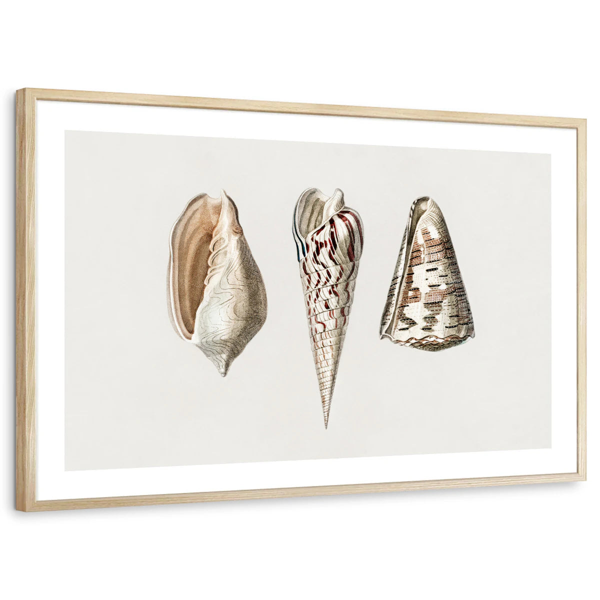 framed-print-natural-wood-white-border