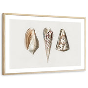 framed-print-natural-wood-white-border