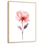 framed-print-natural-wood-white-border